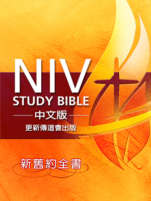 W1e NIV Study Bible 媩 s¬(c) NT$450